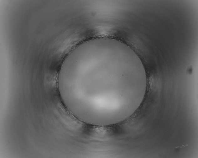 X0000112410423200908211127