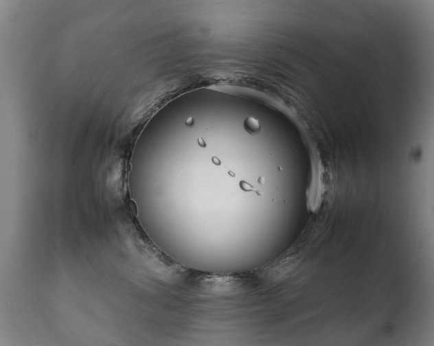 X0000112410428200908211127