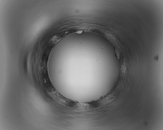 X0000112410429200908211127
