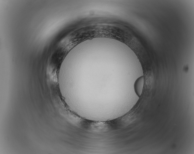 X0000112410431200908211127