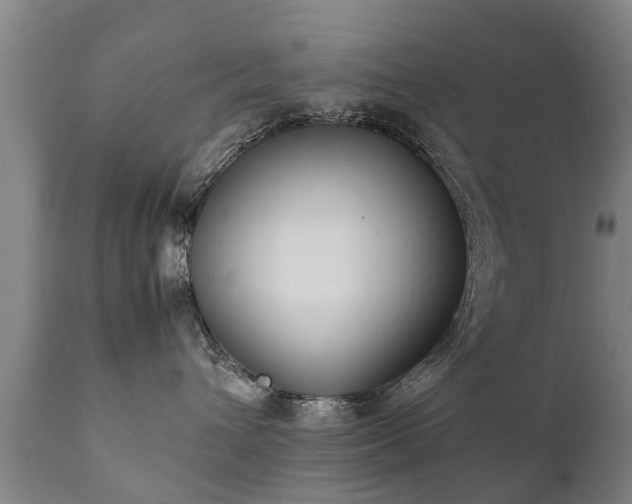 X0000112410432200908211126