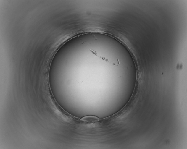 X0000112410433200908211126