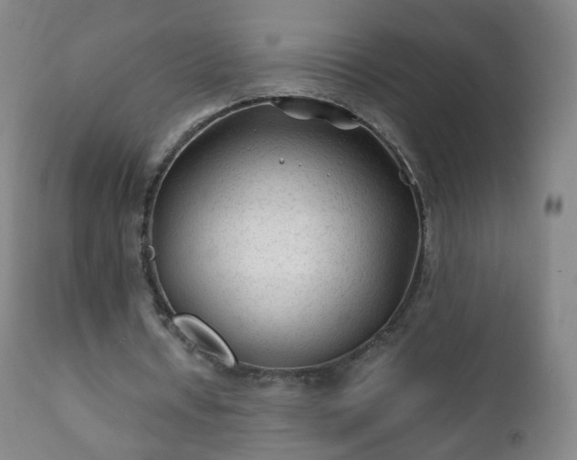X0000112410434200908211126