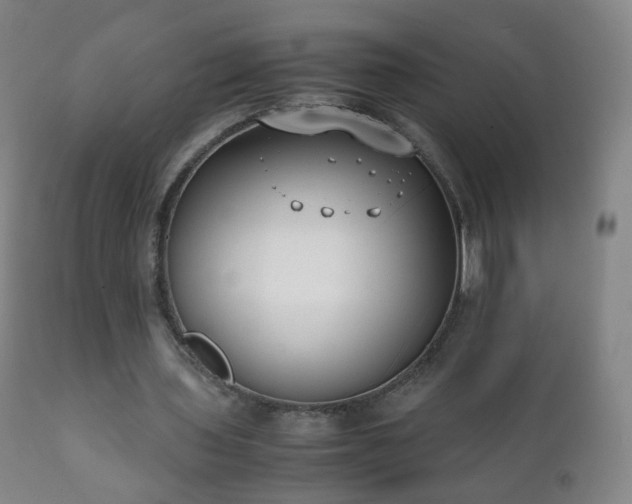 X0000112410435200908211126