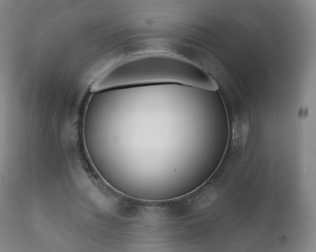 X0000112410436200908211126