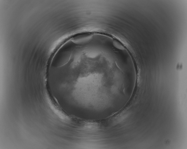 X0000112410438200908211126