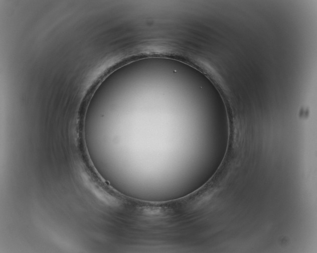 X0000112410439200908211126
