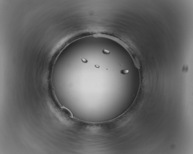 X0000112410440200908211126