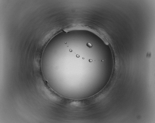 X0000112410441200908211126