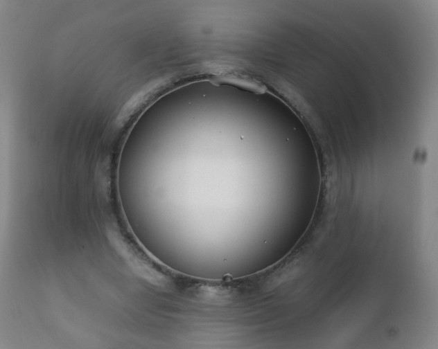 X0000112410442200908211126