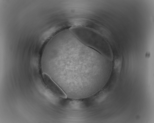 X0000112410444200908211126