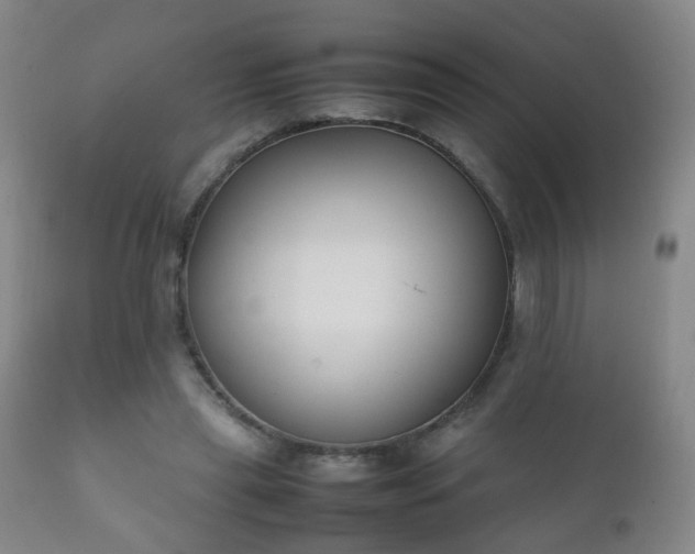 X0000112410445200908211126