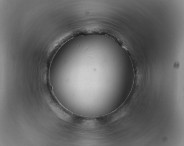 X0000112410446200908211126