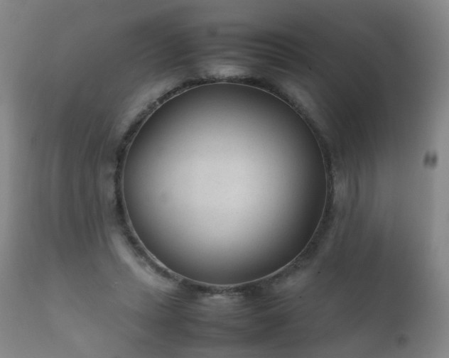 X0000112410447200908211126