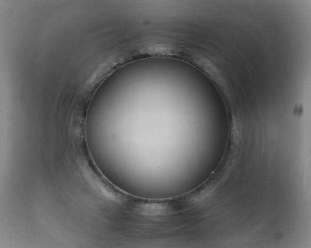 X0000112410449200908211126