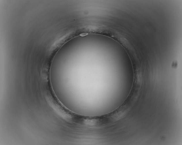 X0000112410450200908211126