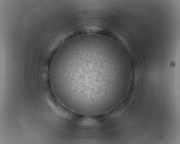 X0000112410451200908211126