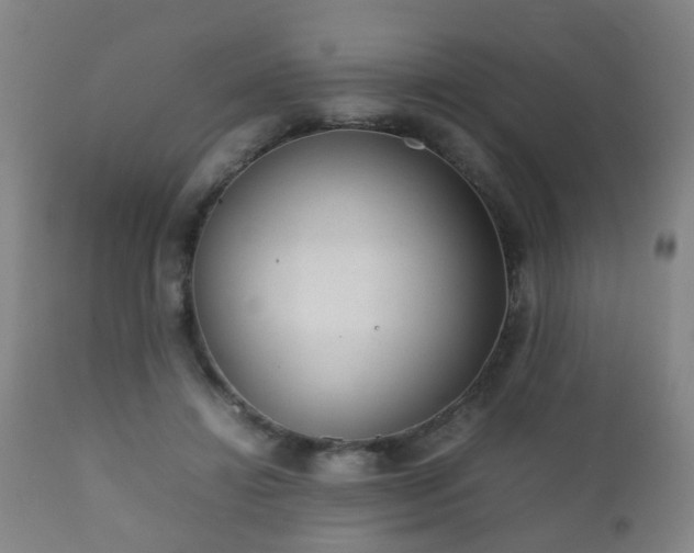 X0000112410452200908211126