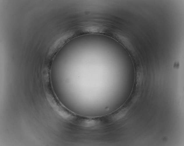 X0000112410453200908211126