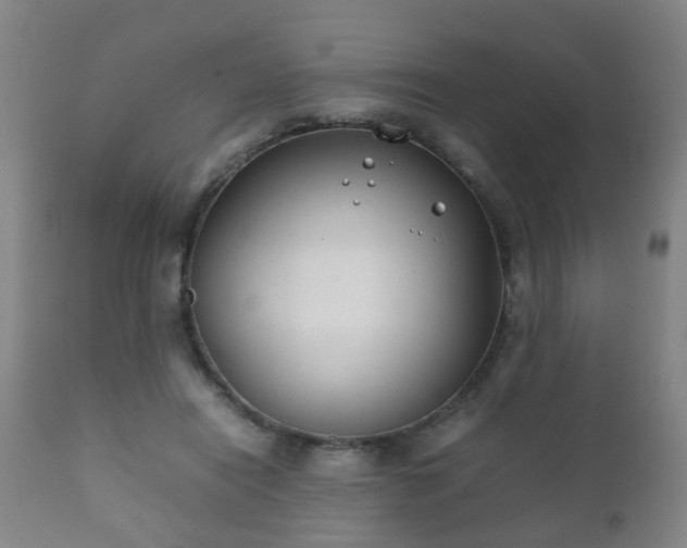 X0000112410454200908211126