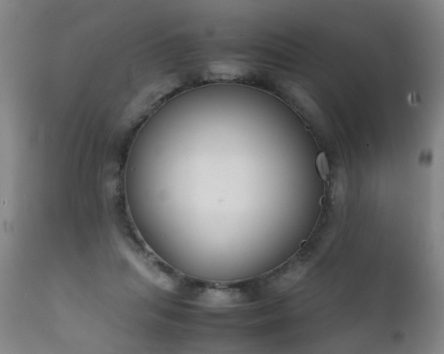 X0000112410455200908211126