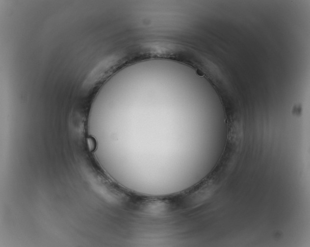 X0000112410456200908211126
