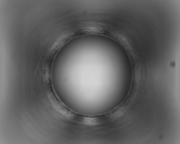 X0000112410457200908211126