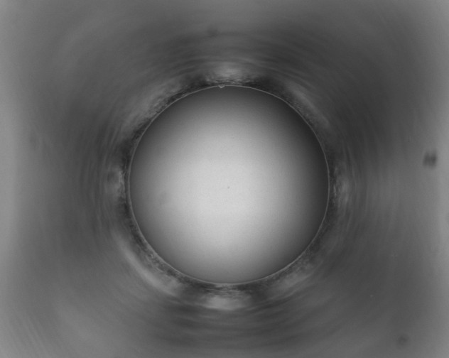 X0000112410459200908211126