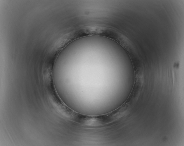 X0000112410460200908211126