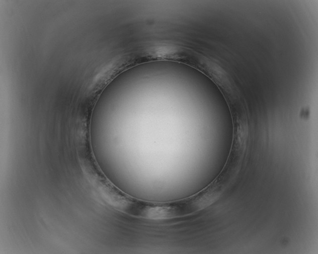 X0000112410461200908211126