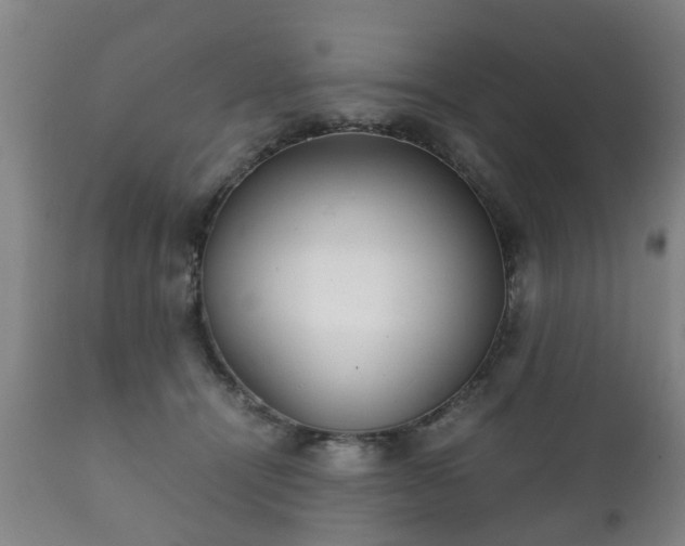 X0000112410464200908211126