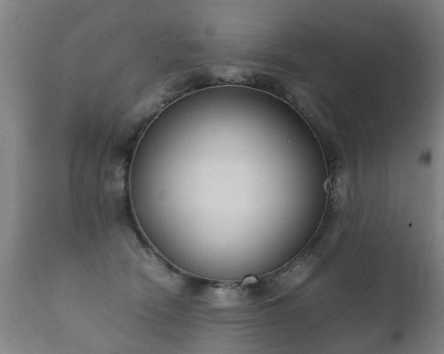 X0000112410466200908211126
