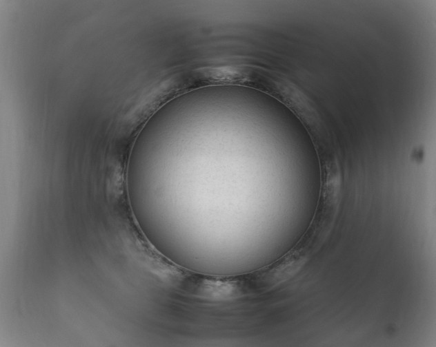 X0000112410469200908211126