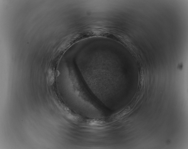X0000112410471200908211126