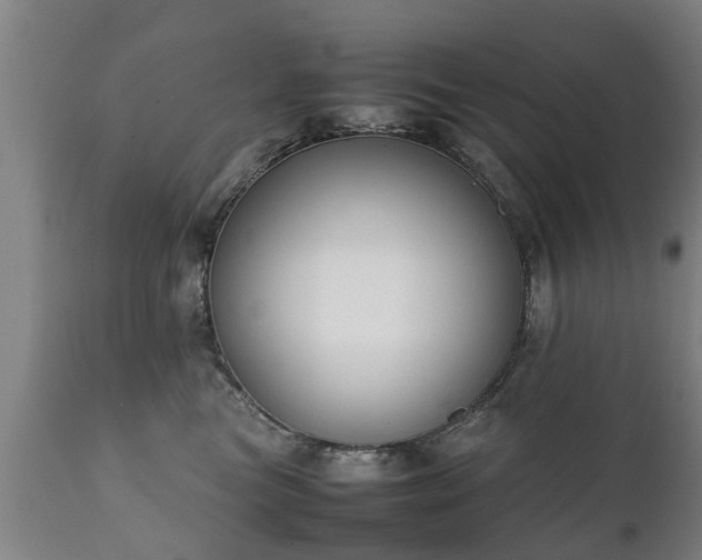 X0000112410473200908211126