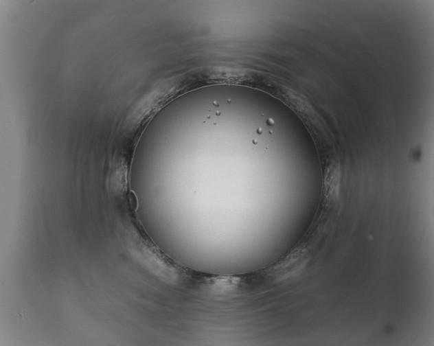 X0000112410474200908211126