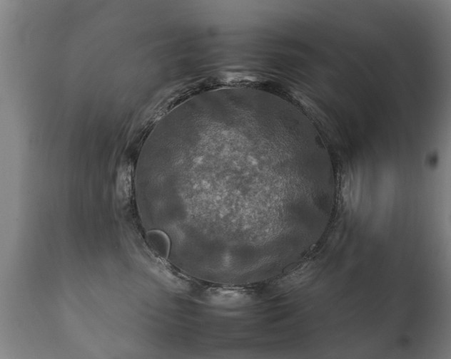 X0000112410475200908211126