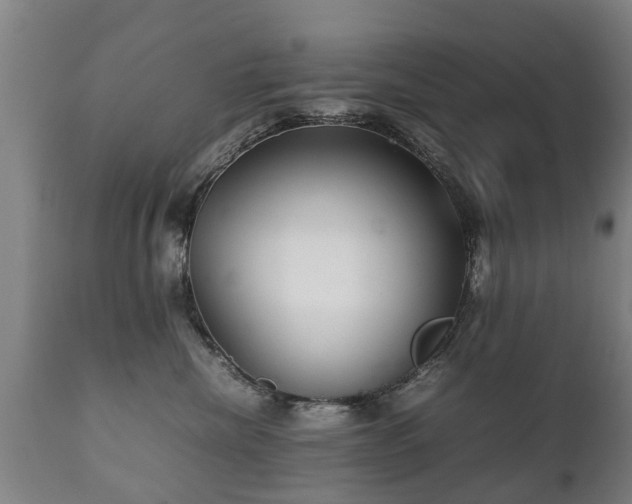X0000112410476200908211126