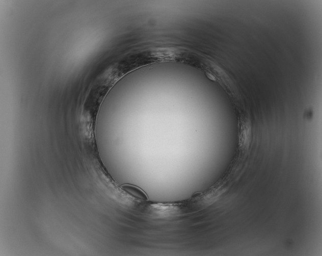 X0000112410477200908211126