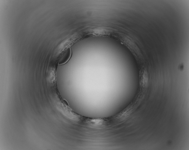 X0000112410478200908211126