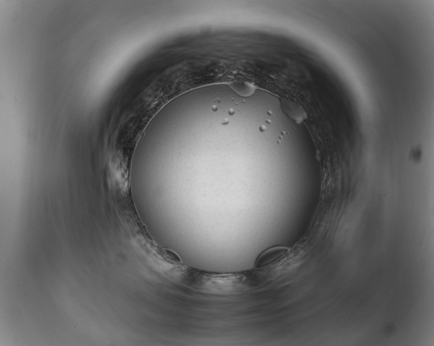 X0000112410479200908211126