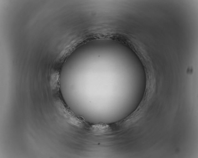 X0000112410480200908211126
