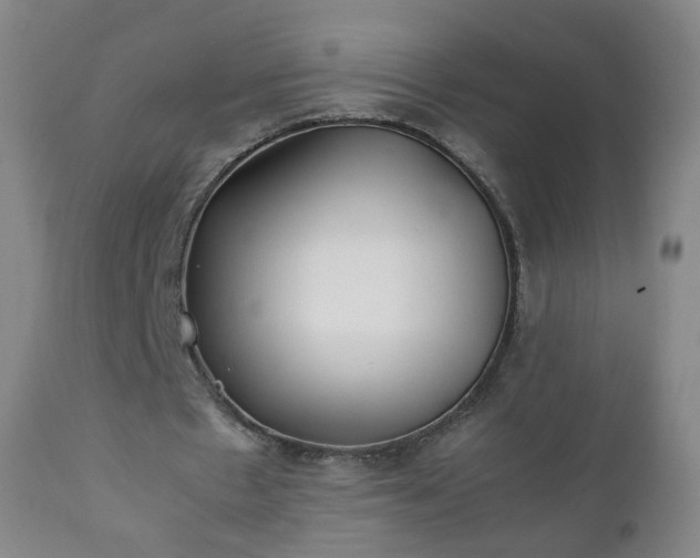 X0000112410481200908211126
