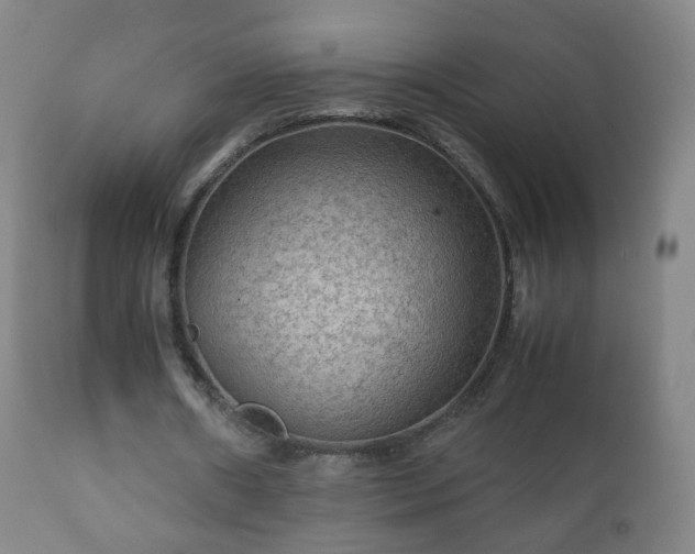 X0000112410482200908211126