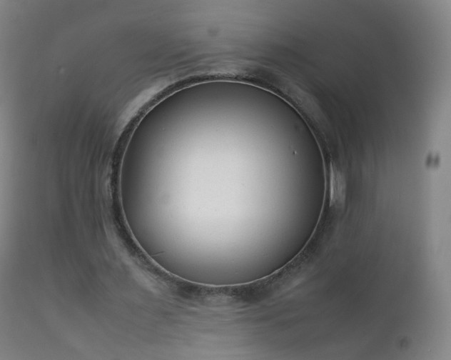 X0000112410483200908211126