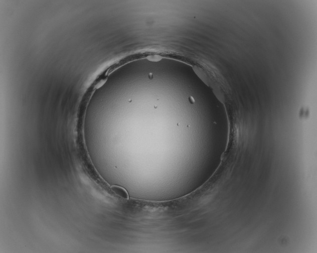 X0000112410484200908211126