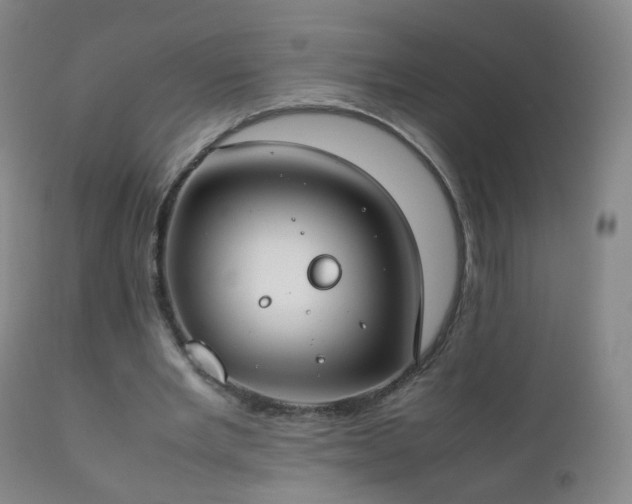 X0000112410485200908211126
