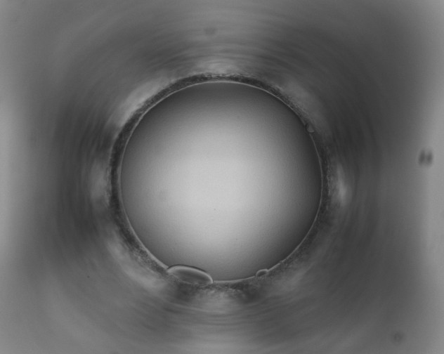X0000112410488200908211126