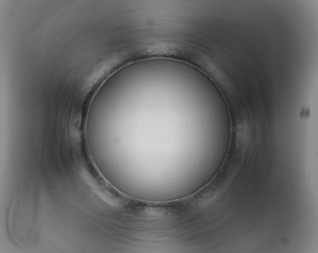 X0000112410490200908211126