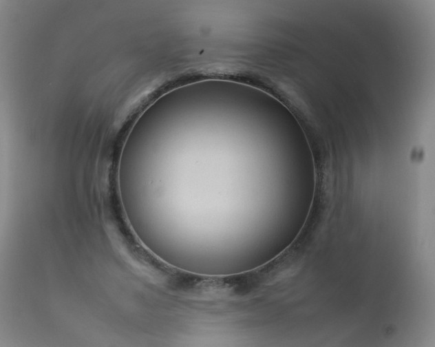X0000112410491200908211126